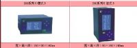 巡检控制仪/香港虹润HR-LCD-多通道巡检控制仪